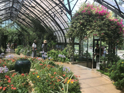 温室餐厅工程打破打破传统